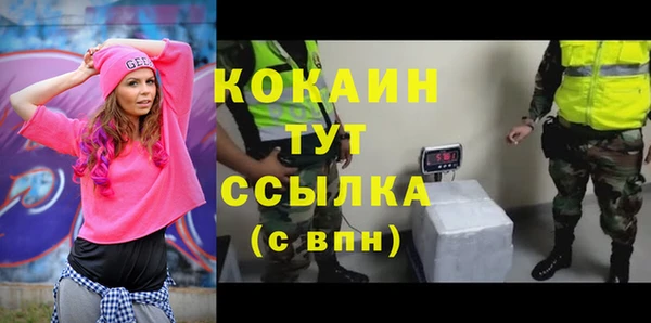 мет Снежногорск