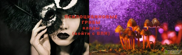 стафф Белоозёрский