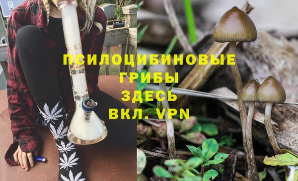 jwh Снежинск