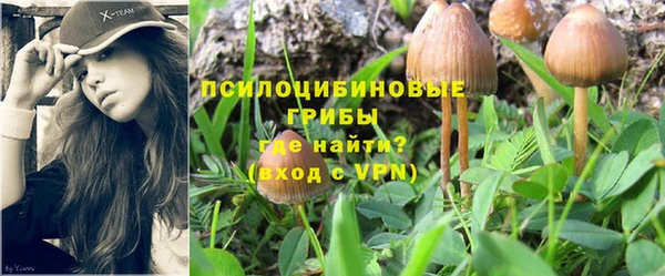 стафф Белоозёрский