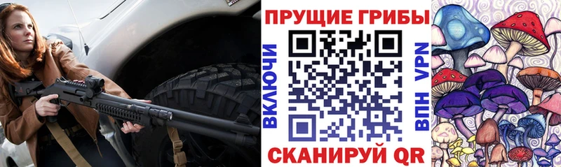 Галлюциногенные грибы Psilocybine cubensis  Бузулук 